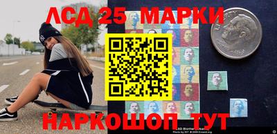 гидра Будённовск