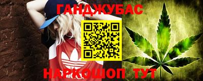гидра Будённовск