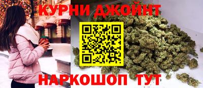 гидра Будённовск